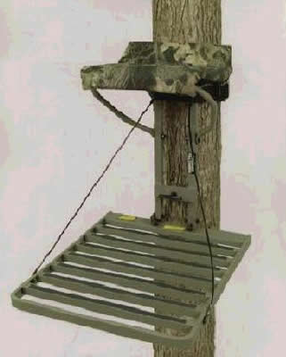 Treestand and Treeseat