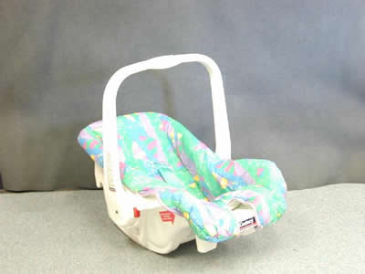 Picure of Car Seat/Carrier