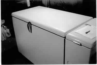 Picure of Old Freezer