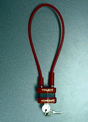 Picture of Gun Lock