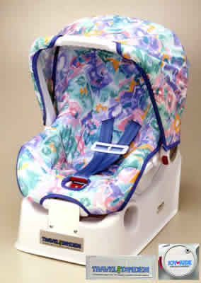 Picture of Recalled Car Seat/Carrier 