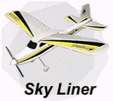 Picture of recalled radio-controlled airplane