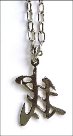 Picture of Recalled Jewelry