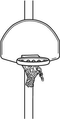 Picture of Torn Net
