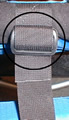 Picture of Strap and Buckle