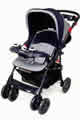 Picture of Recalled Stroller