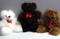 Picture of Recalled Bears