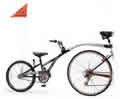 Picture of Recalled Bicycle