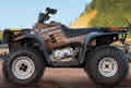Picture of Recalled ATV