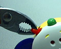 Picture of Recalled Toy