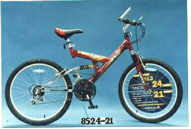 Picture of Recalled Bicycle