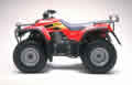 picture of recalled ATV
