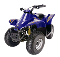 picture of recalled atv