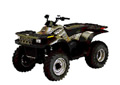 picture of recalled product
