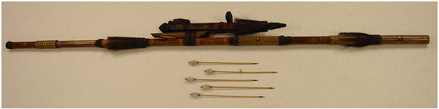 Picture of Recalled Blow Dart Gun