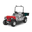 Picture of Recalled Rough Terrain Vehicle