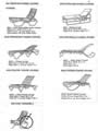 Lounge Chairs
