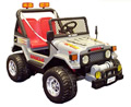 Picture of Recalled Children's Riding Vehicle