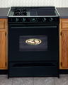 Picture of Gas Range